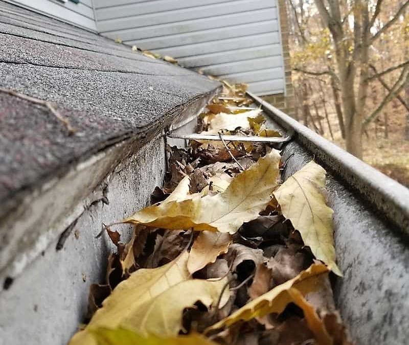 A Waikato gutter packed with wet autumn leaves before cleaning